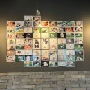 도그런하우스 이미지