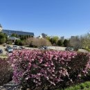 골드골프클럽 이미지