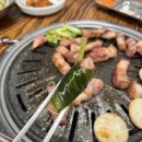 중앙돼지 이미지