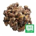 고성곱배 이미지