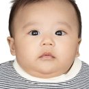 샘재로 | 100일 전 아기 여권사진 가능? 한국 터키 여권 준비 실제 후기,장호원 지금사진관