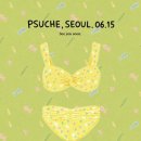 프쉬케(PSUCHE)