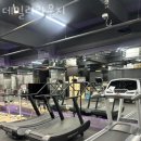한국야구르트 대리점 | 잠실동헬스 데일리라운지 가격 후기