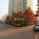 산현로 17번길 Daum카페