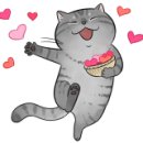 패션그루머 이미지