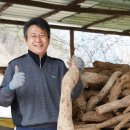 농업회사법인(주) 안동애FNH | 칡즙 사과즙 전문 생산기업 안동애FNH