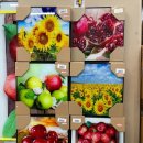 파워DC마트 이미지