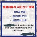 (청와대 국민청원) 불법체류자 자진 출국제도의 문제점!!!(범칙금면제, 재입국 허용) 이미지