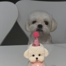 구떼포유 이미지