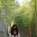 대밭집식당 이미지