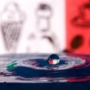 반려동물관리사 이미지