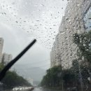 장미메디칼