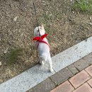 자인계정숲(씨름장) 네이버블로그