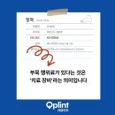 큐플린트 이미지