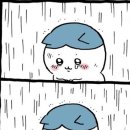 이탈리아 학생비자 발급 후기..