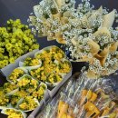 신자병설유치원 이미지