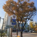 율천파출소 이미지