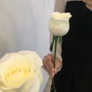 뭇풀 | [공지] 2023 뭇풀 크리스마스 & 연말