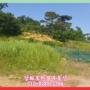 교동면-5 이미지