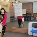 트롯 디스코 장구 이미지