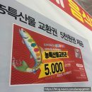 얼음나라화천 산천어축제 주말후기 가격 준비물 얼음낚시 꿀팁 주차정보