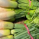 청운농장 이미지