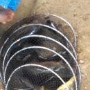 산유낚시터 이미지