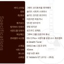 인생기타