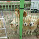 금강LPG충전소 이미지