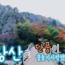 등산/트레킹/주왕산 용추협곡에서 큰골.가메봉 주봉코스 이미지