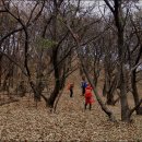 대곶초등학교 이미지