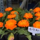 송강전통시장 이미지