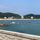 양양군여객자동차터미널 네이버블로그