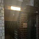 모란모란 이미지