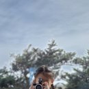 하도바다 이미지