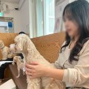 위드멍 | [잠실] 송파애견카페 루프탑 애견카페 추천, 위드멍