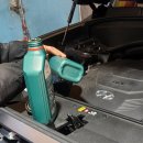 카트라스 이미지