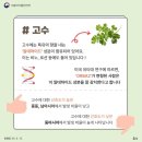 국어의고수