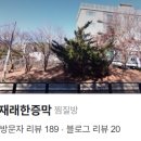 고봉산재래한증막 이미지