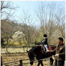 태화어린이집 이미지