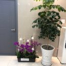 신천제일요양병원 이미지