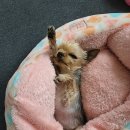 방배한강동물병원 이미지