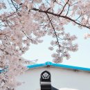 하단동1173 이미지