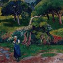 포두농장 이미지