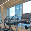 필로스짐 이미지