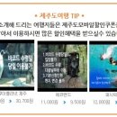 중문그린힐통나무펜션 네이버블로그
