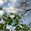 옛날솜씨마을 이미지