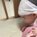 쓰담에듀 | [육아일기] 3월의 일상3(돌밥돌밥의 일상...)