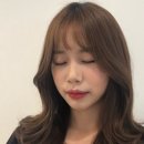 살롱 지이유엔 이미지