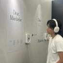 와쇼쿠섭